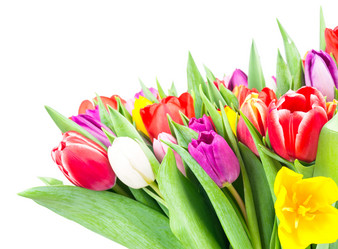 Similar image 7824415