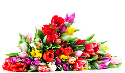 Similar image 7824417