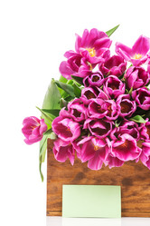 Similar image 7824427