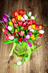 Similar image 7824429