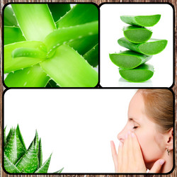 Similar image 7824430