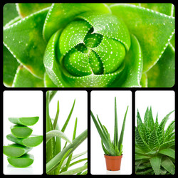 Similar image 7824433