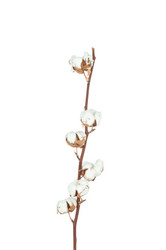 Similar image 7824434