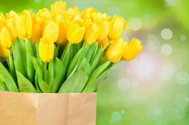 Similar image 7824436