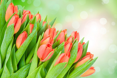 Similar image 7824437