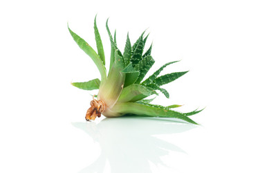 Similar image 7824438