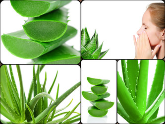 Similar image 7824440