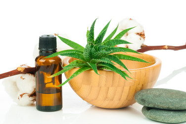 Similar image 7824444