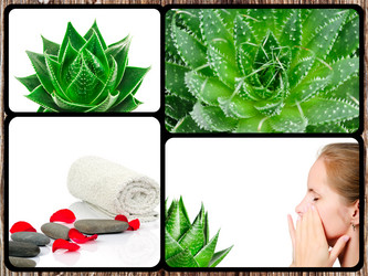 Similar image 7824446