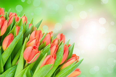 Similar image 7824448