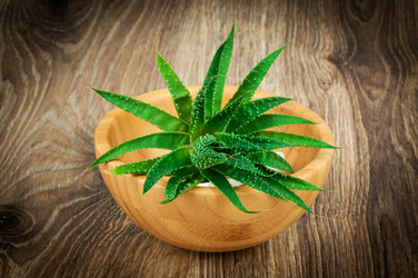 Similar image 7824449