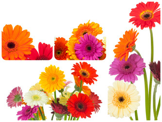 Similar image 7824451