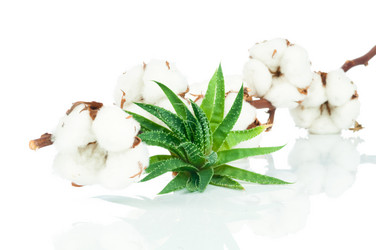 Similar image 7824453