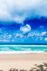 Similar image 7824509