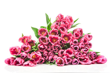 Similar image 7824510