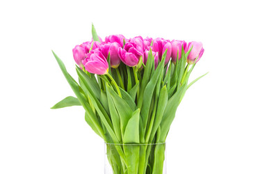 Similar image 7824512