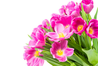 Similar image 7824515