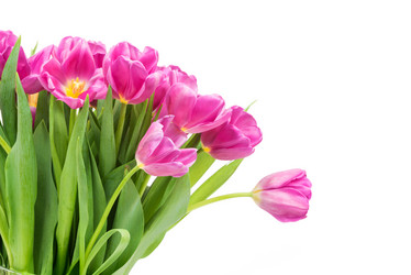 Similar image 7824529