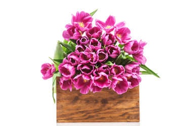 Similar image 7824532