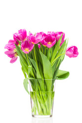 Similar image 7824539