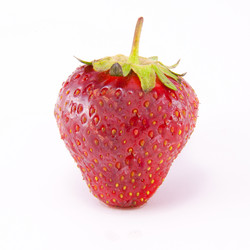 Similar image 7824545