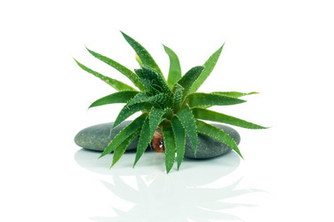 Similar image 7824549