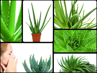 Similar image 7824552