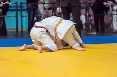 Similar image 7824670