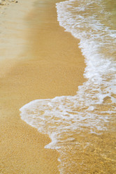 Similar image 7824798