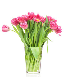 Similar image 7824802