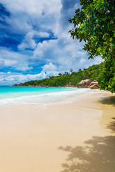 Similar image 7824803