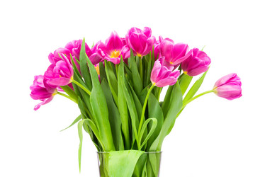 Similar image 7824807