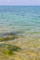 Similar image 7824841