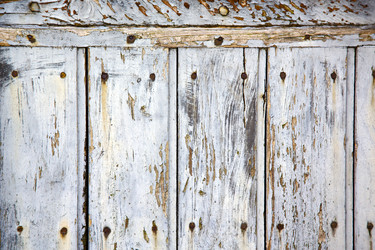 Similar image 7824849