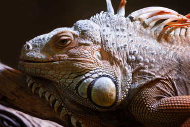 Similar image 7824981