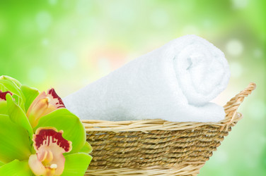 Similar image 7824984