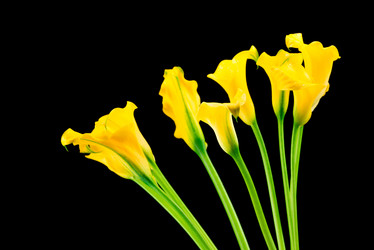 Similar image 7824988