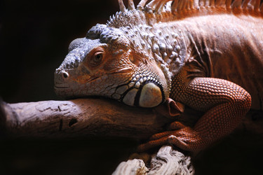 Similar image 7825005