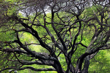 Similar image 7825008