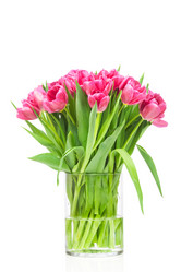 Similar image 7825016