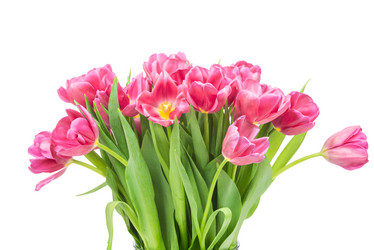 Similar image 7825017