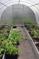 Similar image 7825026