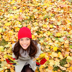 Similar image 7825059