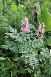 Similar image 7825066