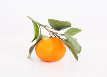 Similar image 7825067