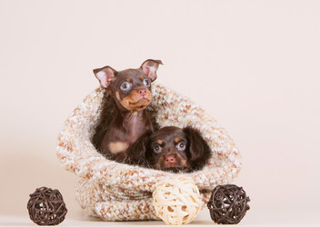 Similar image 7825068