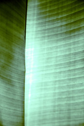 Similar image 7825139