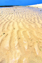 Similar image 7825153