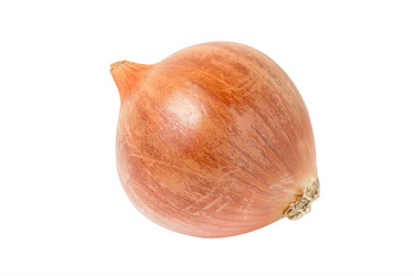 Similar image 7825254