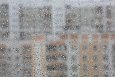 Similar image 7825279